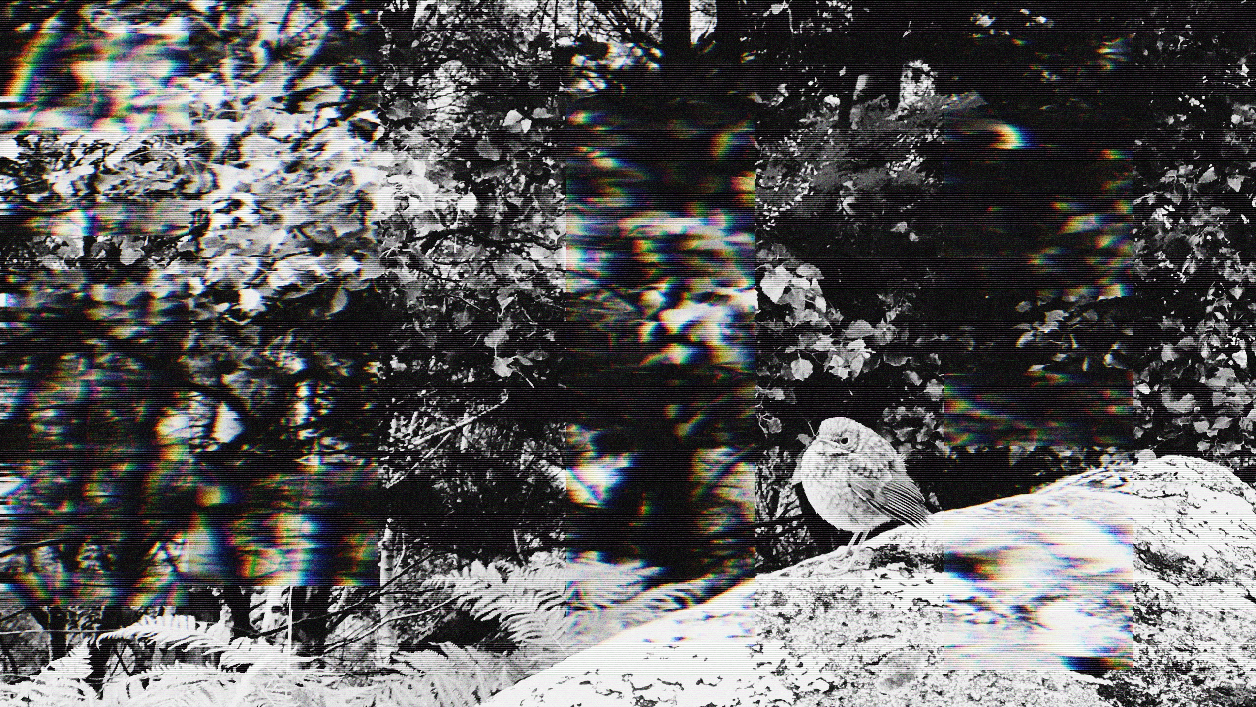 naked trees